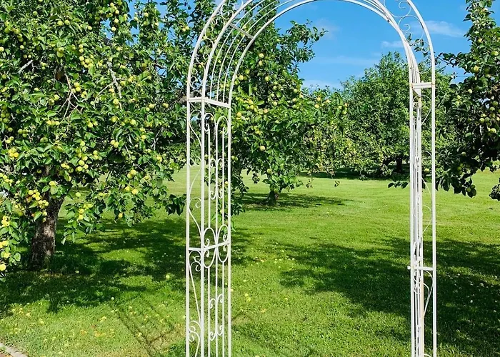 Nova Large Sauna House, We Offer Also Bath