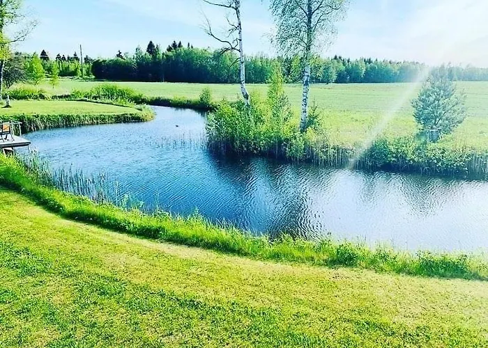 Villa Nova Large Sauna House, We Offer Also Bath