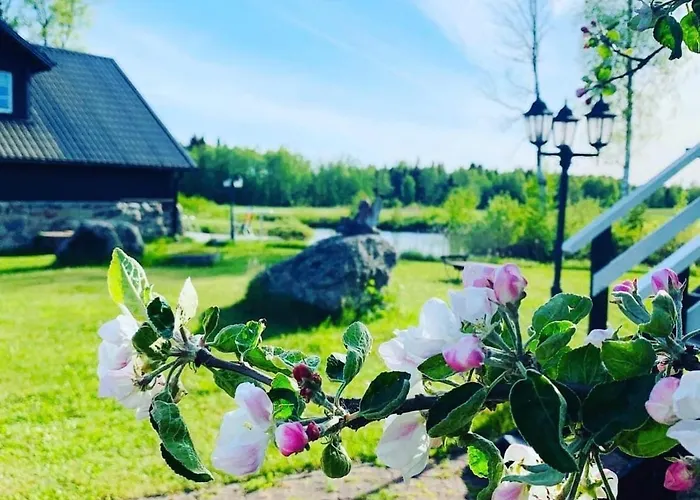 Nova Large Sauna House, We Offer Also Bath Vaisi